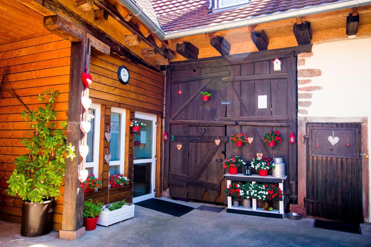 Au Murier Goxwiller Exterior foto