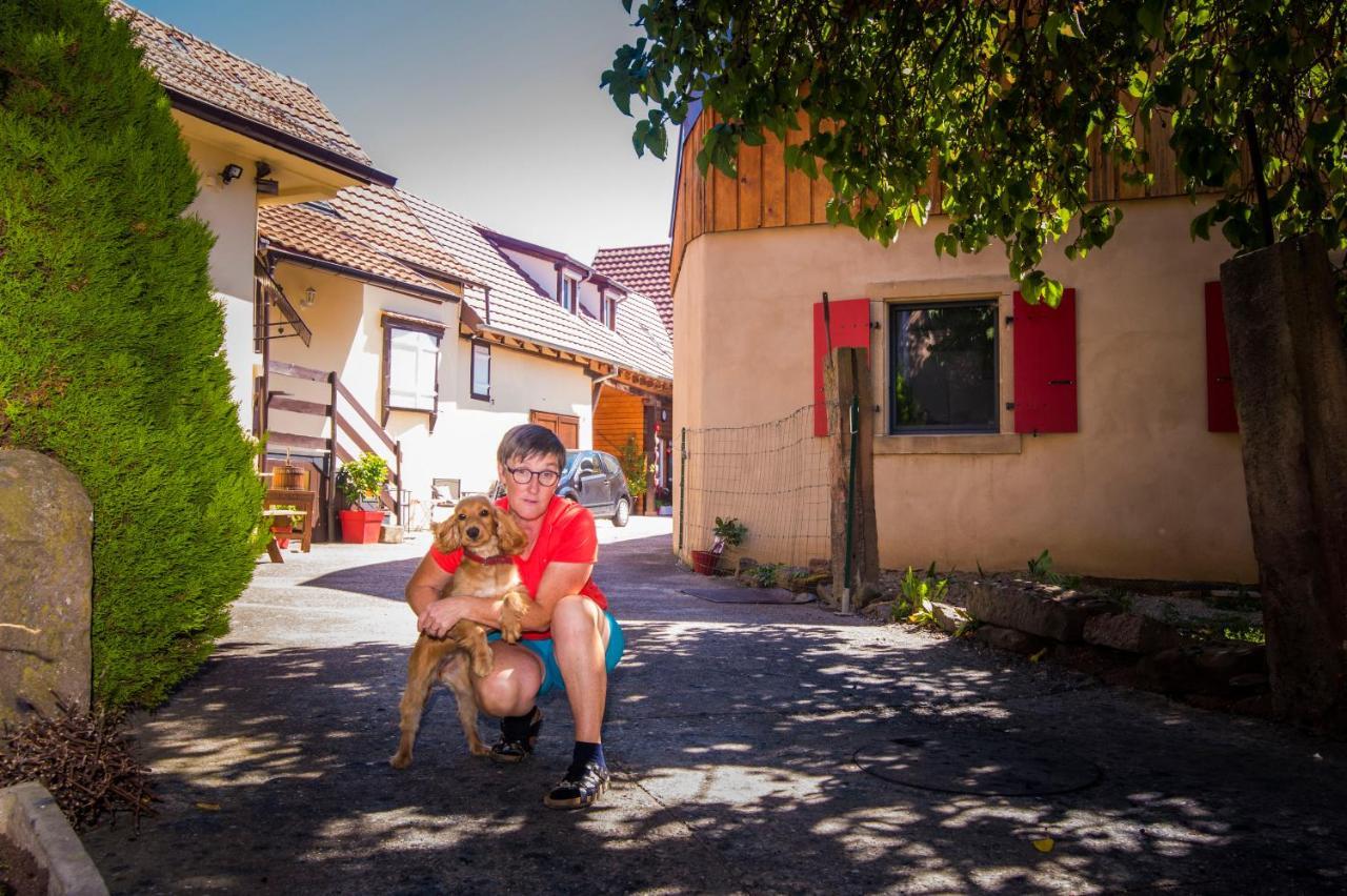 Au Murier Goxwiller Exterior foto